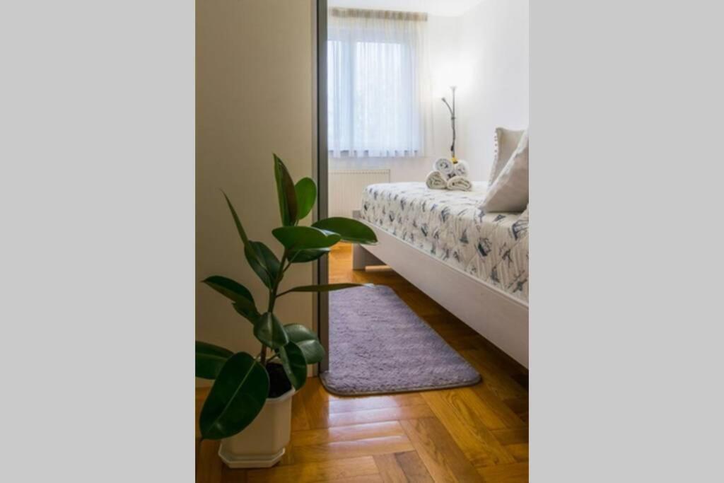 Apartment Jarun Brac Zagreb Extérieur photo